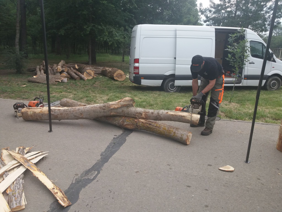 Sculptorii au pornit drujbele în parc