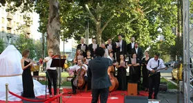 Galerie foto - poza 3