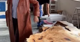 Galerie foto - poza 3