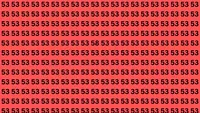 Test de logică | Nu toate numerele din această imagine sunt 53. Două sunt diferite, le puteți găsi?