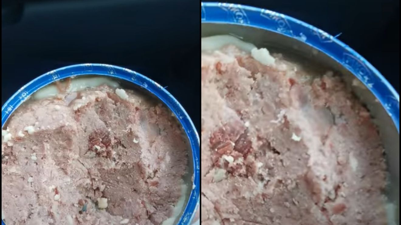 Ce a putut să găsească Timotei într-o conservă din supermarket. I s-a întors stomacul pe dos când s-a uitat mai bine