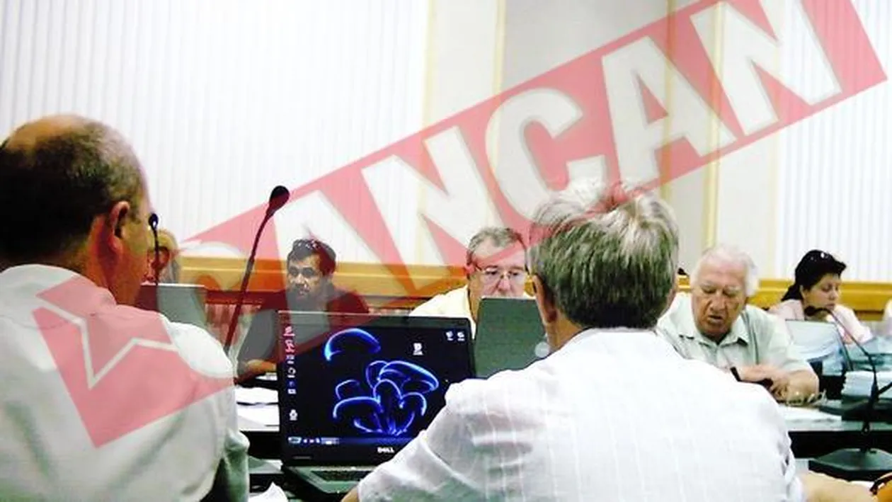 Consilieri PD, prinsi cu softul ilegal