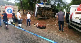 Galerie foto - poza 2