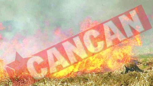 Incendiu la Parcul National Cozia
