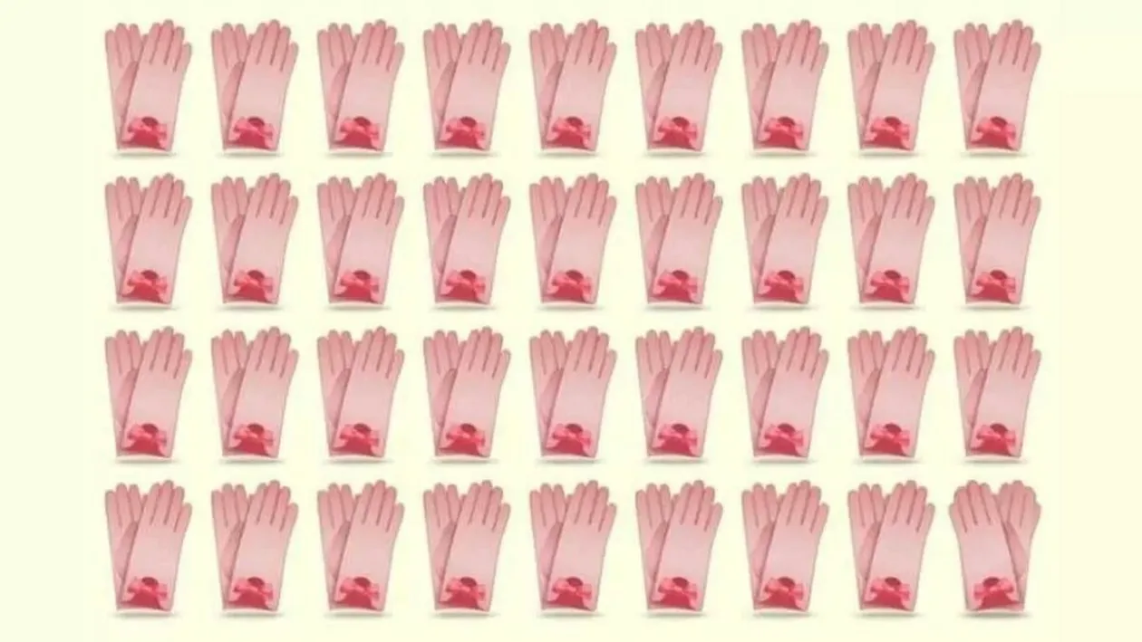 Test IQ | Numai cei cu ochi de vultur văd perechea diferită de mănuși, în doar 5 secunde!