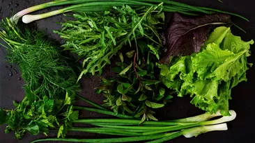 Verdețurile care îți salvează imunitatea. Adevărul despre curele de detox