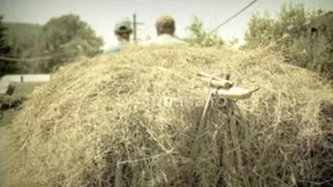 A cazut in cap de la trei metri, de pe fanul din caruta! Un barbat din Vaslui e in stare grava la spital!