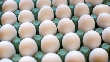 Ouăle au ajuns să fie mai scumpe decât carnea! Preţurile s-au majorat cu 50%, iar veştile rele nu se opresc aici!
