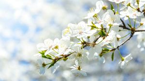 Prognoza meteo azi, 7 martie 2026. Vreme schimbătoare în estul României: dimineți reci și maxime de până la 15°C