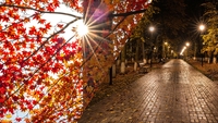 Prognoza meteo marți, 20 octombrie 2026. Vremea îi ia prin surprindere pe români! Unde vor fi 22 de grade și în ce zone noaptea aduce doar 1 grad