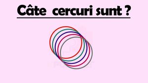 Test de inteligență | Câte cercuri sunt, de fapt, în această imagine?