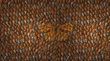 Iluzie optică virală | Ce vietate se ascunde în această fotografie?