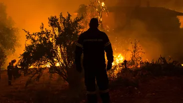 E stare de alertă în Grecia! Incendiile au făcut prăpăd: sute de oameni, salvați din calea pericolului