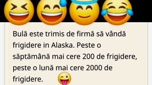 BANC | Bulă este relocat în Alaska