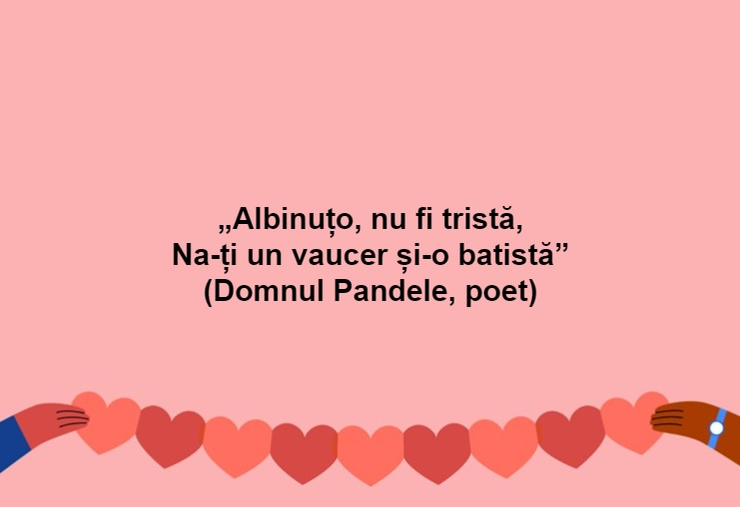 Alegerile locale, o sursă bună pentru glume! Iată care sunt cele mai haioase