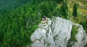 Galerie foto - poza 3