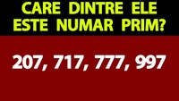 Test de inteligență | Unul singur dintre aceste 4 numere este prim: 207, 717, 777 sau 997. Care?