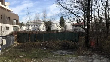 E săptămâna decisivă pentru unul dintre cele mai controversate proiecte din Bucureşti! Vecina multimilionară a lui Iohannis aşteaptă OK-ul să ridice blocuri peste ”Grădinile Versailles” din zona Arcului de Triumf!
