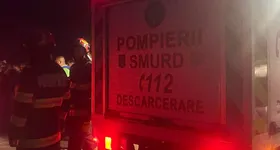 Galerie foto - poza 3