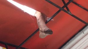 Descoperire macabră într-un cartier din Craiova. Piciorul unei femei lovite de o mașină a fost găsit pe acoperișul unei case, la două zile după accident