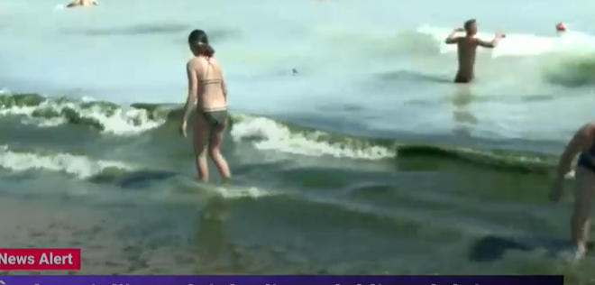 Mizerie de nedescris pe litoral! La Costinești turiștii fac plajă printre alge și gunoaie!