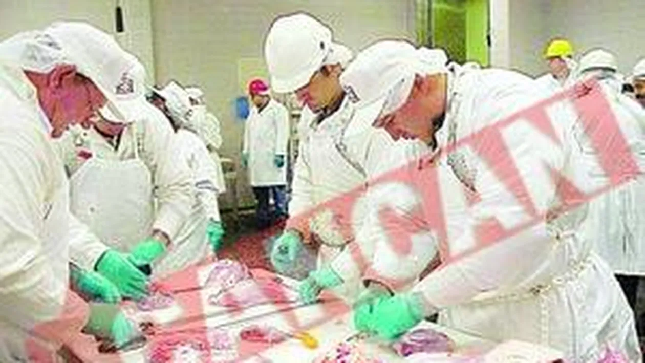 Oferte de munca in Germania