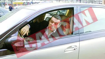 Becali, a cincea lovitura pentru Maybach!
