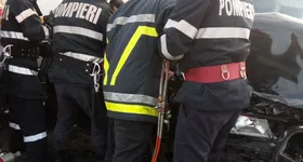 Galerie foto - poza 2