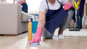 Ce a găsit o austriacă acasă, după ce angajase o româncă să îi facă curat în apartament. A crezut că nu vede bine