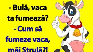 Bancul de sâmbătă dimineața |  "Bulă, vaca ta fumează?"