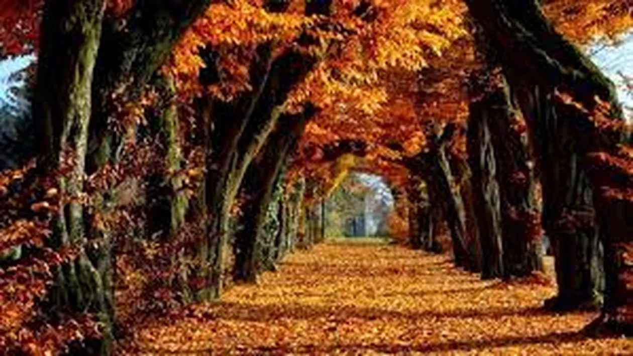 METEO 9 OCTOMBRIE! Vremea se menţine caldă în toată ţara