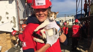 De la munca în construcții, direct în rochia de mireasă! Roxana Ciuhulescu, o viață plină de suspans și adrenalină