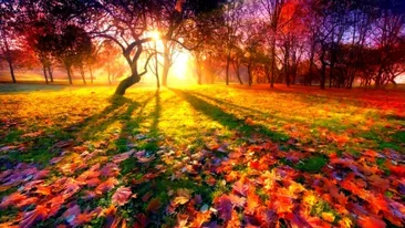 Ai crezut ca a venit iarna? Te inseli! Incredibil ce cald si frumos va fi saptamana viitoare!