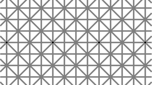Iluzia optică ce a "păcălit" 2 milioane de oameni. Câte puncte negre vedeţi în imagine?