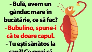 Bancul dimineții | "Bulă, avem un gândac mare în bucătărie, ce să fac?"