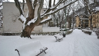 Ce ne așteaptă în iarna 2026-2027. El Niño ar putea ajunge la o intensitate fără precedent