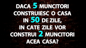 Test de inteligență | Dacă 5 muncitori construiesc o casă în 50 de zile, în câte zile vor construi 2 muncitori acea casă?