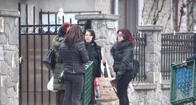 Galerie foto - poza 2