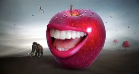 Galerie foto - poza 3