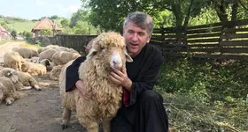 Galerie foto - poza 2