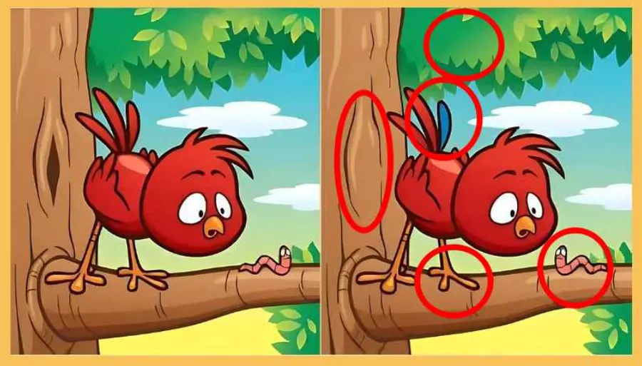 Test de logică. Sursă: jagranjosh.com