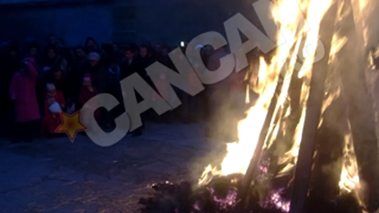 Foc in centrul Timisoarei! Sarbii au dat foc unui pom cu ocazia Craciunului de rit vechi