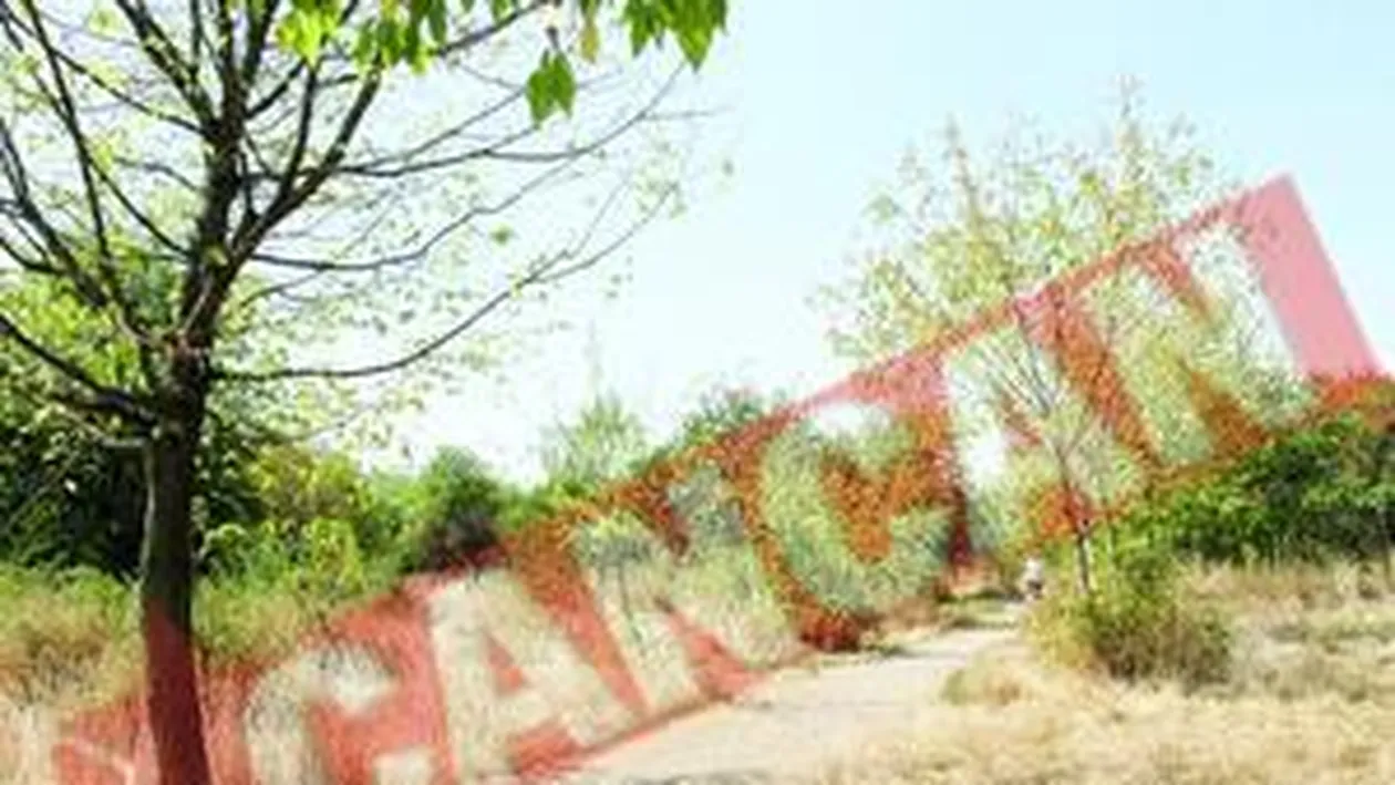 Copacii din parcul Titan au inceput sa se usuce