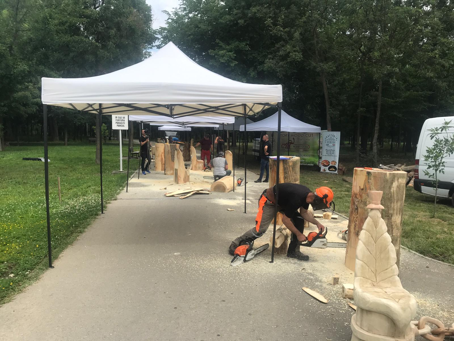 Operele realizate cu drujba în parcul din Craiova prind contur