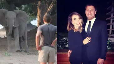 Sfârșit tragic pentru un milionar de 39 de ani. A fost omorât de elefant în propriul safari!