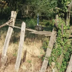 Imagine Galerie #3