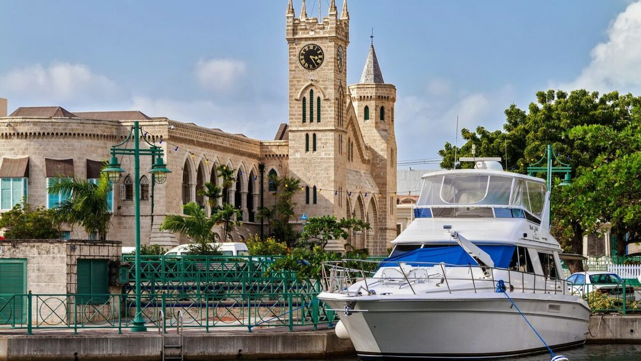 Cel mai mic șarpe din lume are doar 10 cm. A reapărut în Barbados, la 20 de ani de la ultima apariție