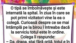 BANC | "Totul e în ordine la birou, am împărțit atribuțiile tale"