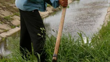 Constantean ucis cu coasa in timp ce strangea baloti de pe un teren agricol