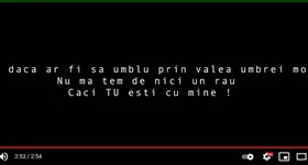 Galerie foto - poza 4